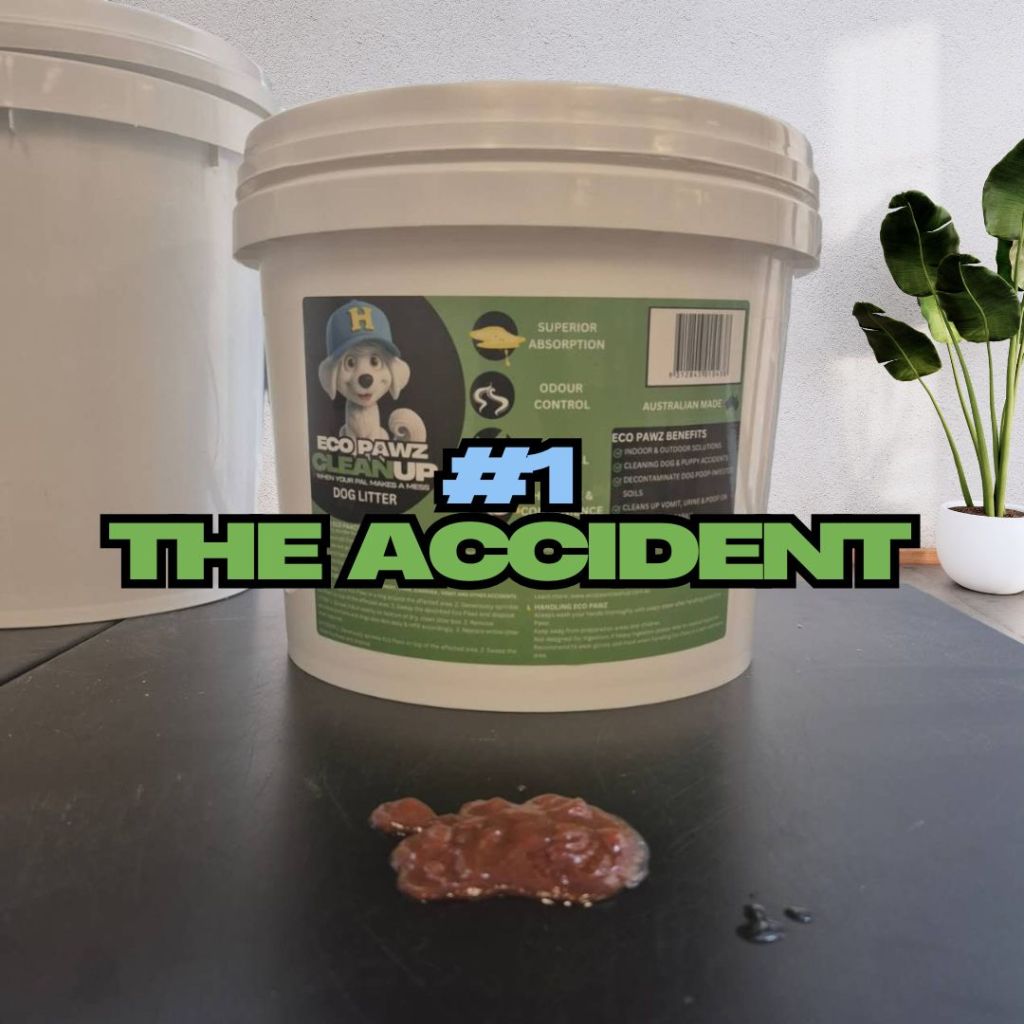 Step-by-step guide showing how to use Eco Pawz CleanUp® natural adsorbent powder to remove dog urine and odours from synthetic grass or outdoor areas.