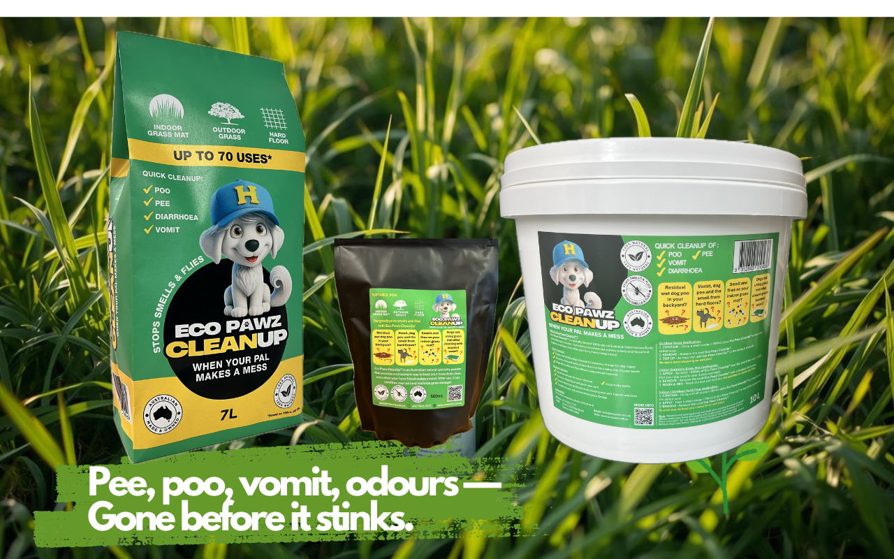 Eco Pawz CleanUp product range including 7L bag, 500g pouch and 10L tub, offering odour control solutions for every dog owner, proudly local. Eco Pawz CleanUp 7L bags now available at your local IGA supermarket; dog owner using natural powder for urine odour control.