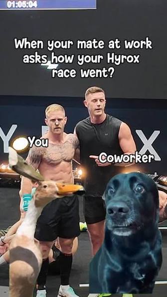 Dog meme referencing the HYROX Beijing poo incident and dog waste cleanup